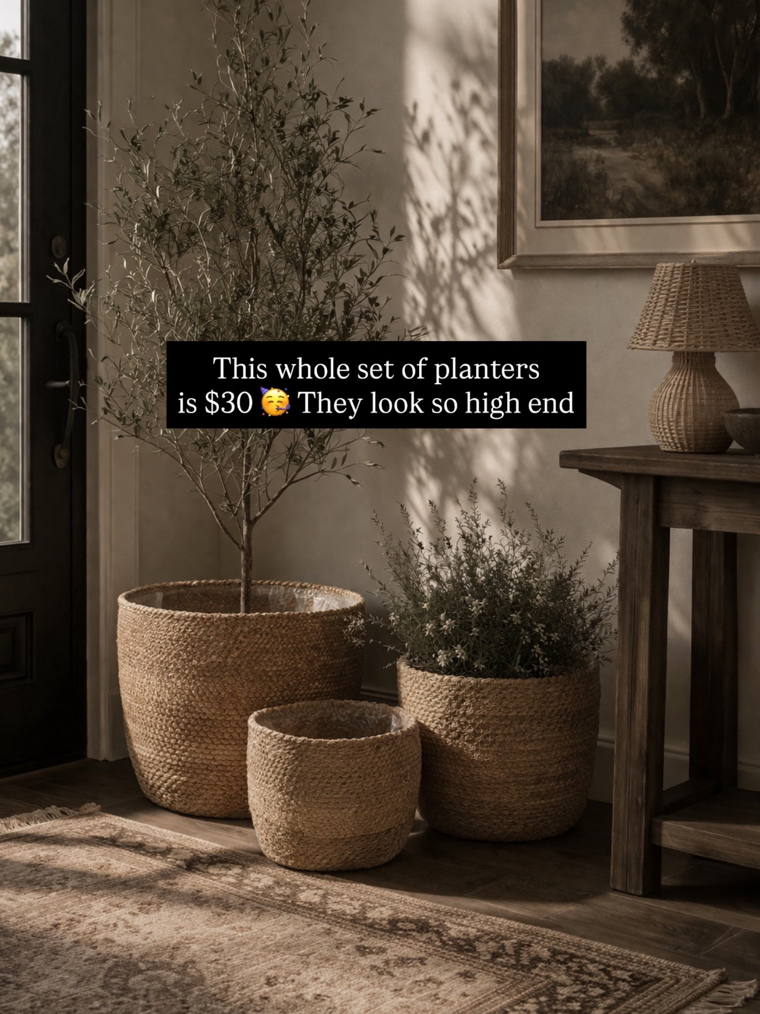 How gorgeous are these planters? Under $30 for the set of three! 

spring, home, backyard

#LTKSeasonal #LTKHome