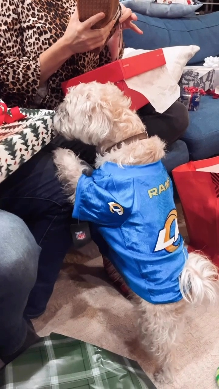How cute is this dog Rams jersey we got for my niece pup this Christmas!?! 

She is ready for the Super Bowl! 

#football #Superbowl #party #dog #pet #clothes 

#LTKootd #LTKdayinmylife #LTKFindsUnder50