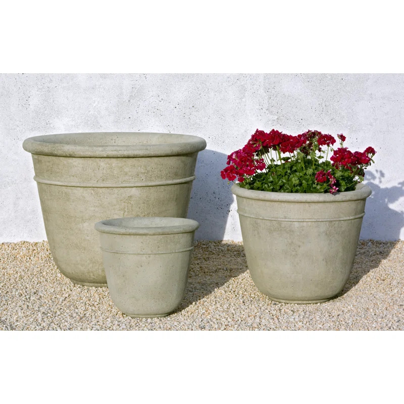 Carema Pot Planter | Wayfair North America