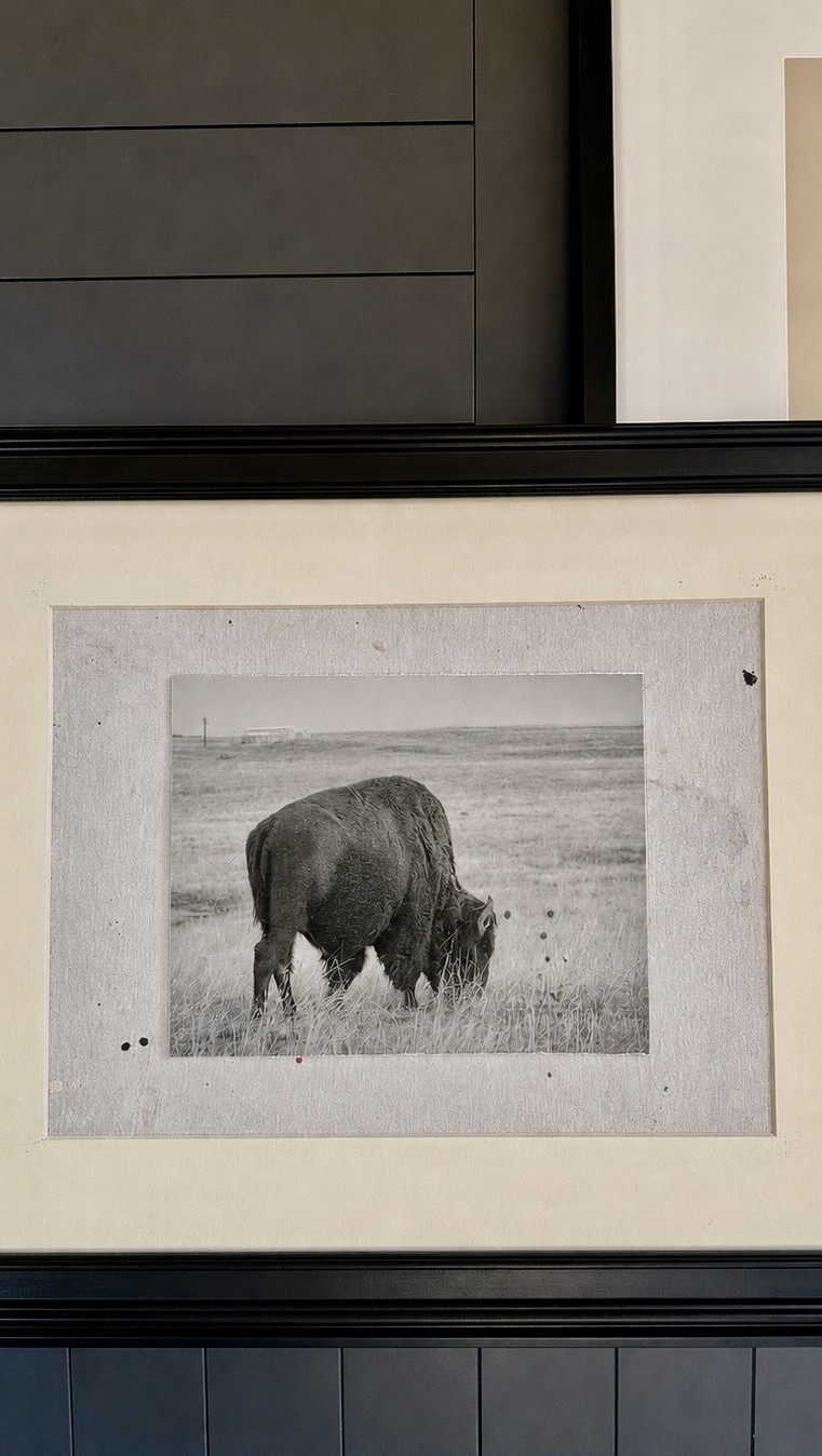 Thrifted Frame Turned Custom Canvas Art

I gave this thrifted frame a fresh new look by printing a favorite black-and-white image directly onto printable canvas. It’s an easy, affordable way to create custom artwork that looks collected, textured, and one of a kind.