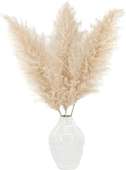 Meadowlux Tall Dried Pampas Grass - Premium 3 Stems 48", Fluffy Feathers for Vase, Modern Farmhou... | Amazon (US)
