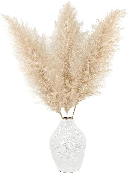 Meadowlux Tall Dried Pampas Grass - Premium 3 Stems 48", Fluffy Feathers for Vase, Modern Farmhou... | Amazon (US)