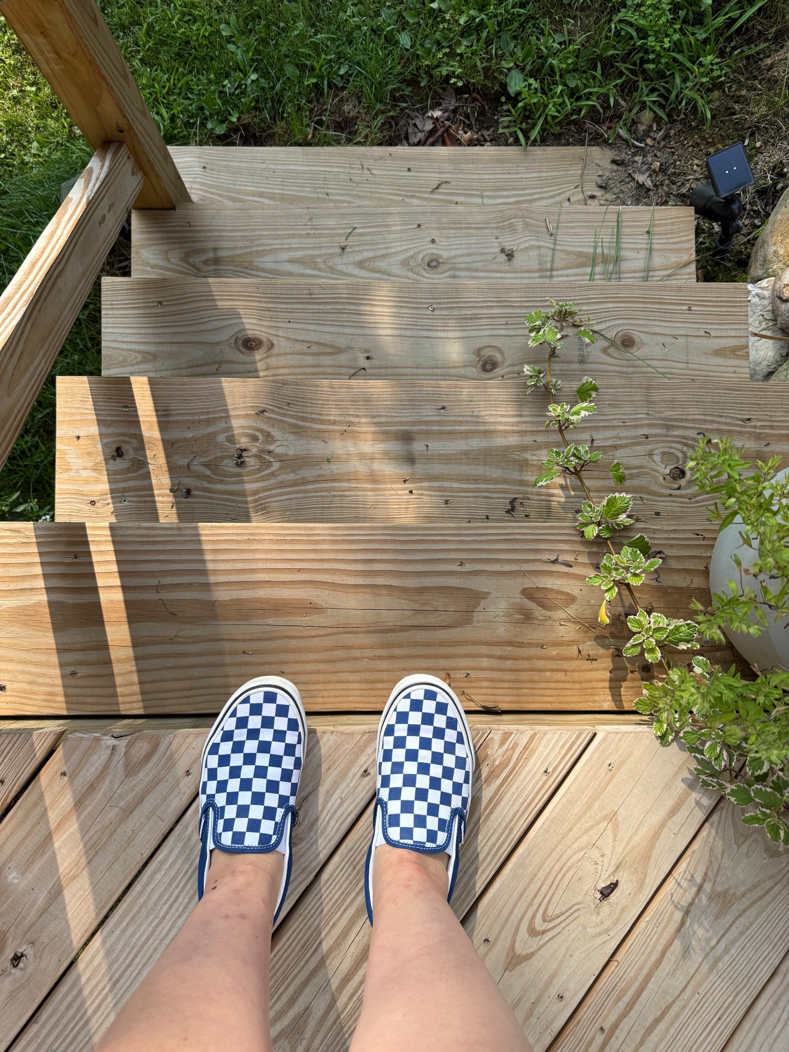 #LTKStyleTip #LTKShoeCrush