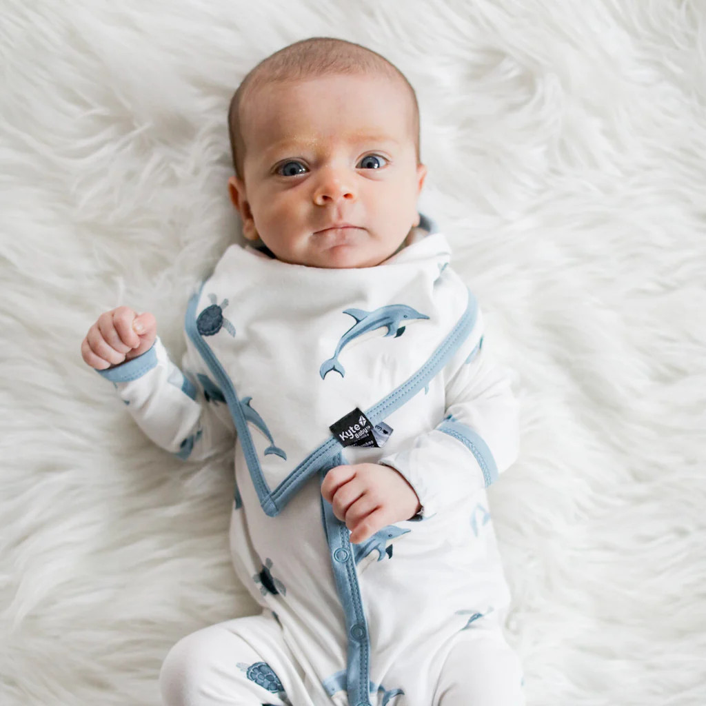 Bib in Dolphin | Kyte Baby