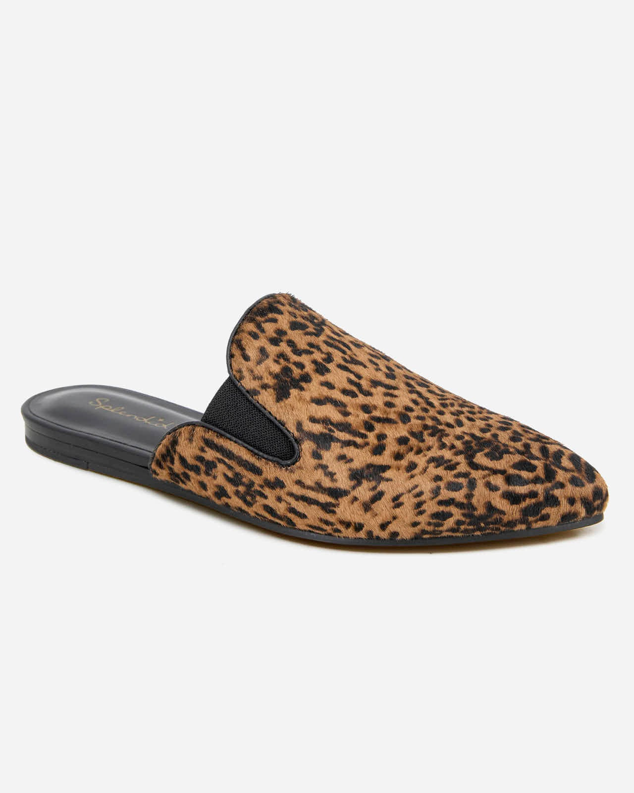 Splendid - Liza Leopard Mule - Leopard Print | Splendid