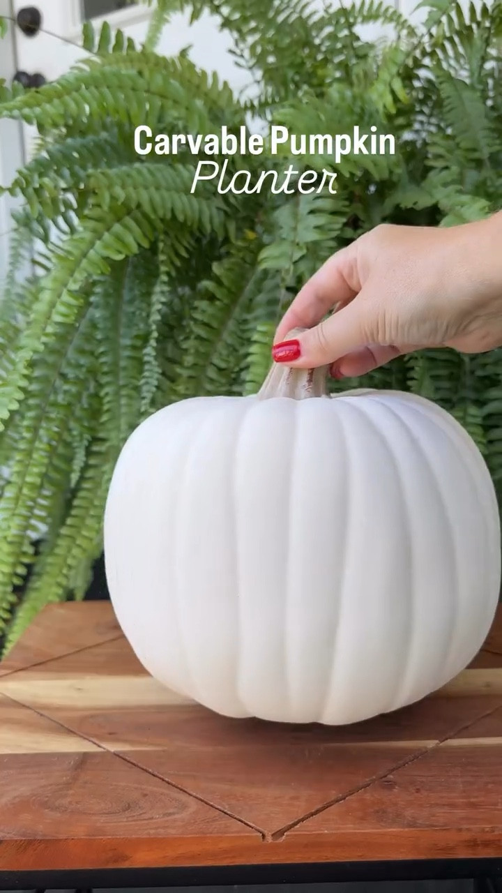 Quite possibly the easiest diy planter for fall. All you need is a carvable pumpkin(not to be confused with foam pumpkins), a knife and a plant! Happy fall!

#diyplanter #falldecor #fallplanter #plantstyling #plantsmakemehappy #houseplantlove #plantcare #plantdesign