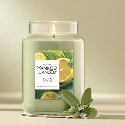 Yankee Candle Salted Caramel Large Jar Scented Candle | Wayfair North America