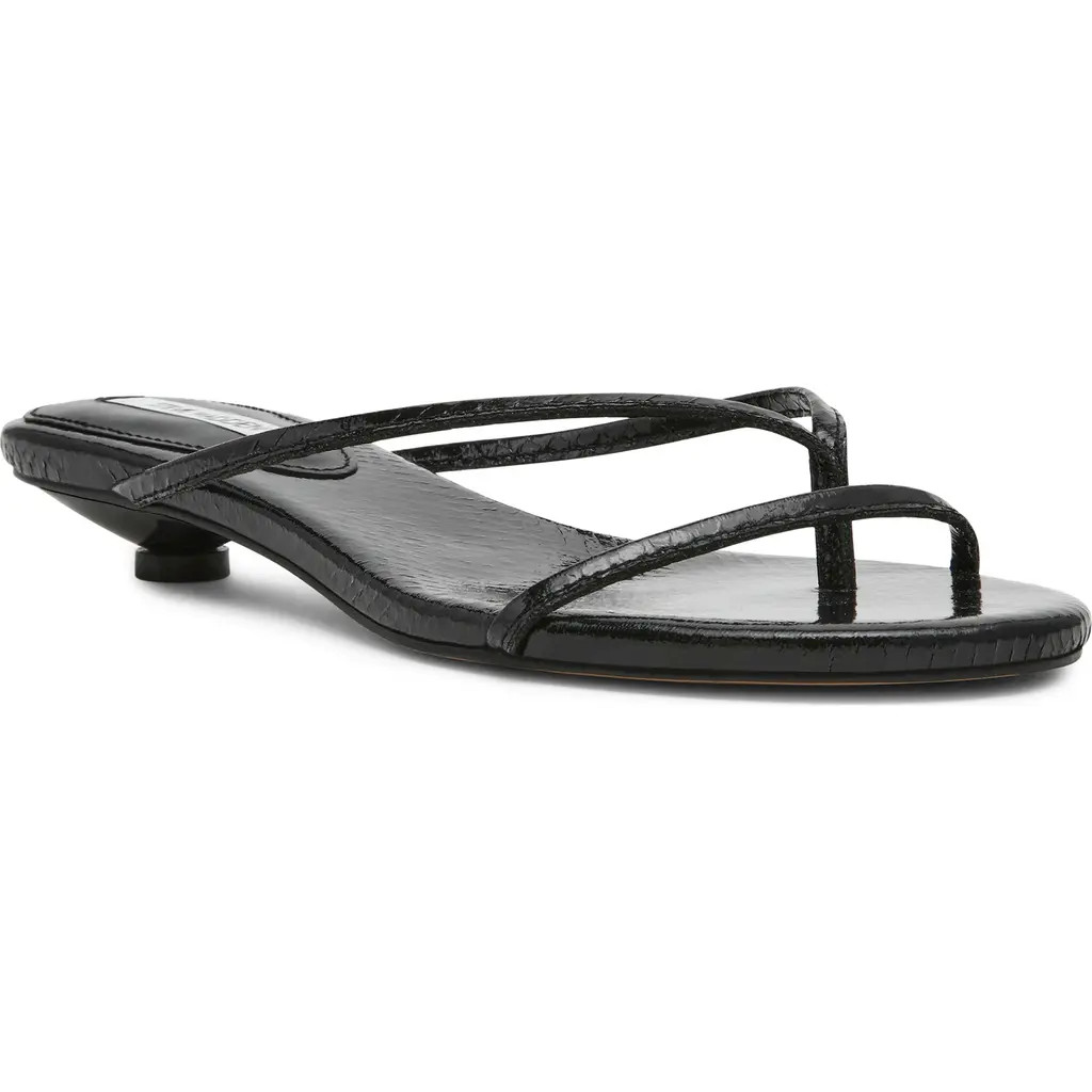 Steve Madden Terry Kitten Heel Flip Flop in Black Snake at Nordstrom, Size 7 | Nordstrom