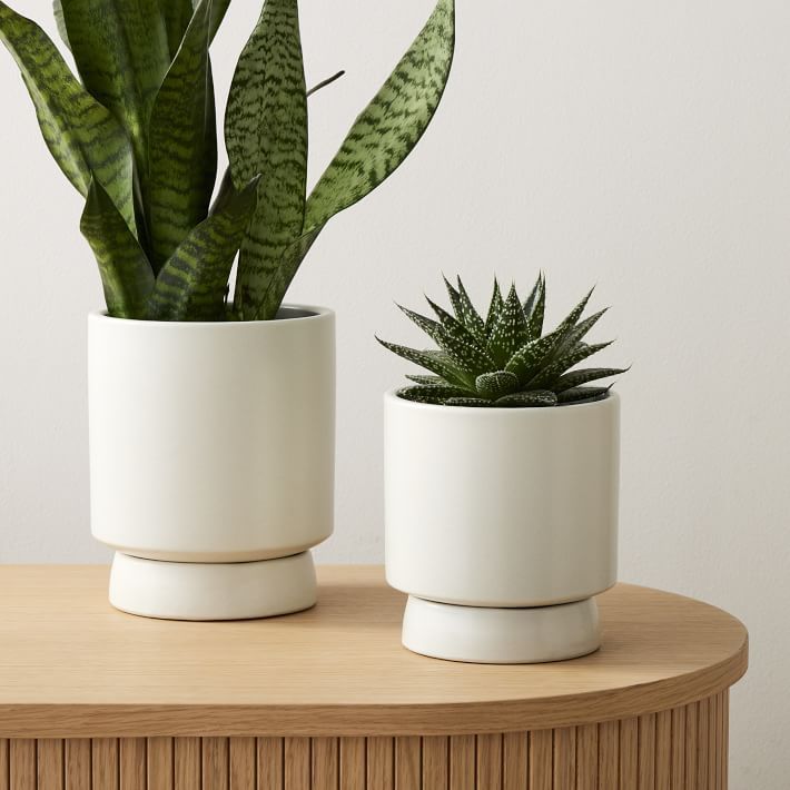 Bishop Ceramic Indoor/Outdoor Tabletop Planters | West Elm (US)