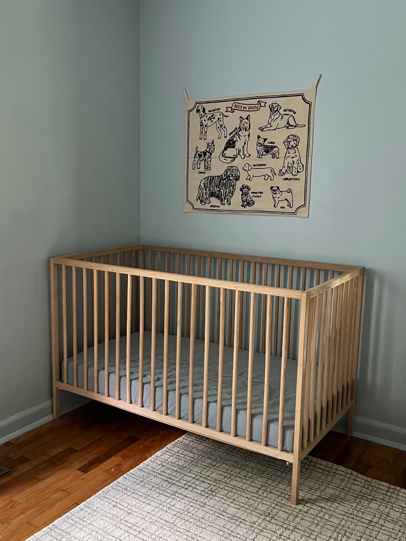 The beginnings of a sweet sweet nursery 🫶🏽 crib is from Ikea and the tapestry is sold out from CLJ Pottery Barn Kids collection 😩 paint color is Niebla Azul color matched to Behr ☁️

#LTKBaby #LTKKids #LTKFamily