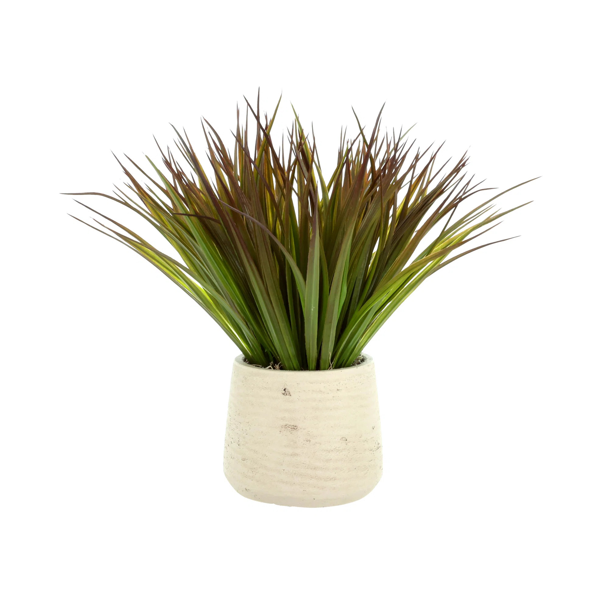 Variegated Desktop Foliage Grass in Pot | Perigold