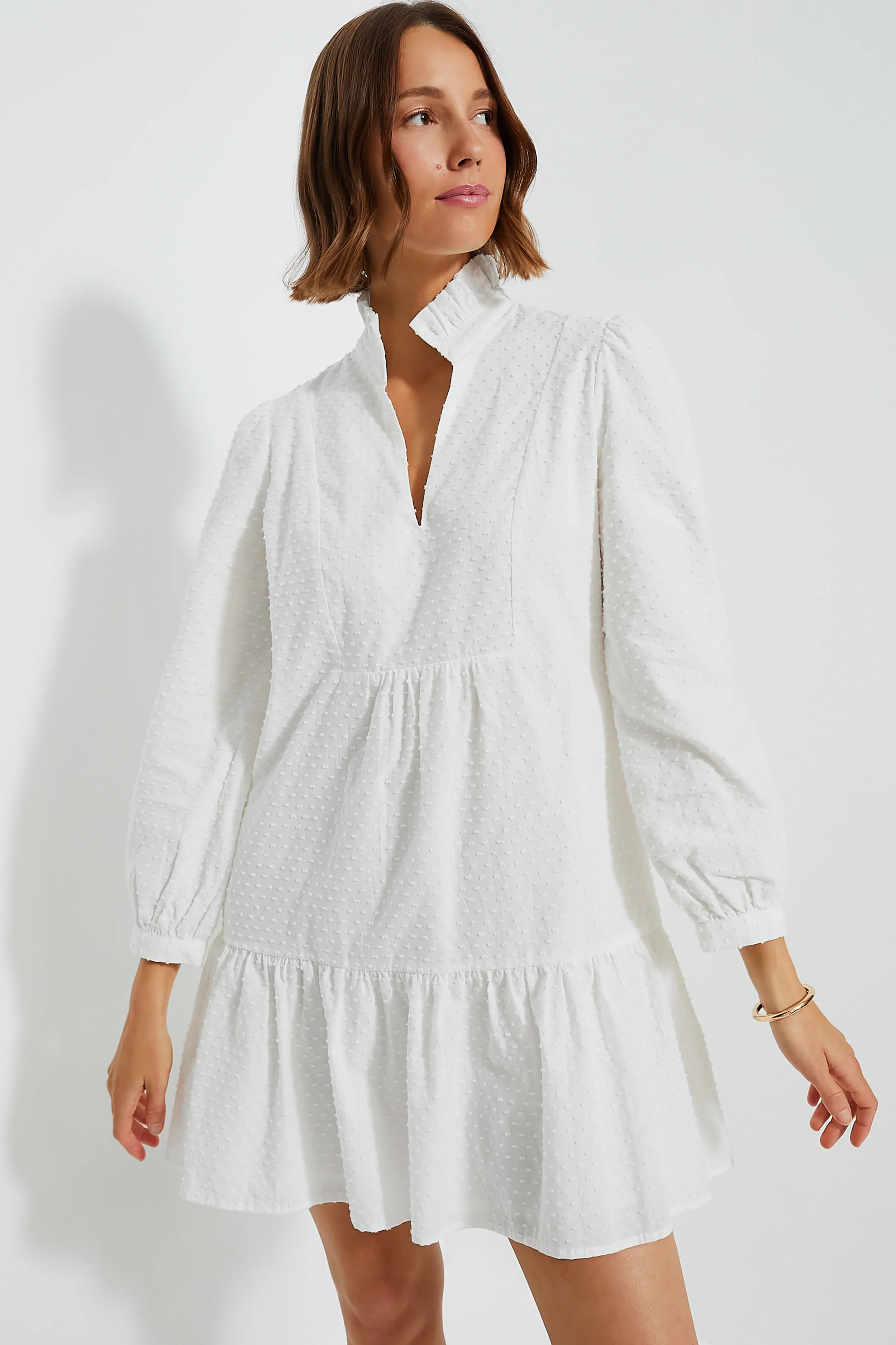 White Swiss Dot Palmerston Dress | Tuckernuck (US)