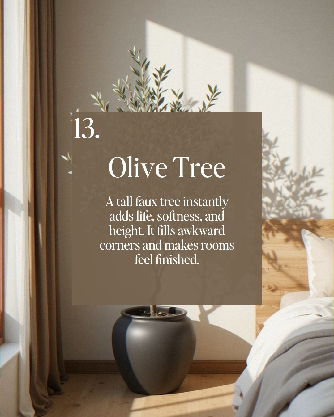 My fav olive tree from Amazon!
