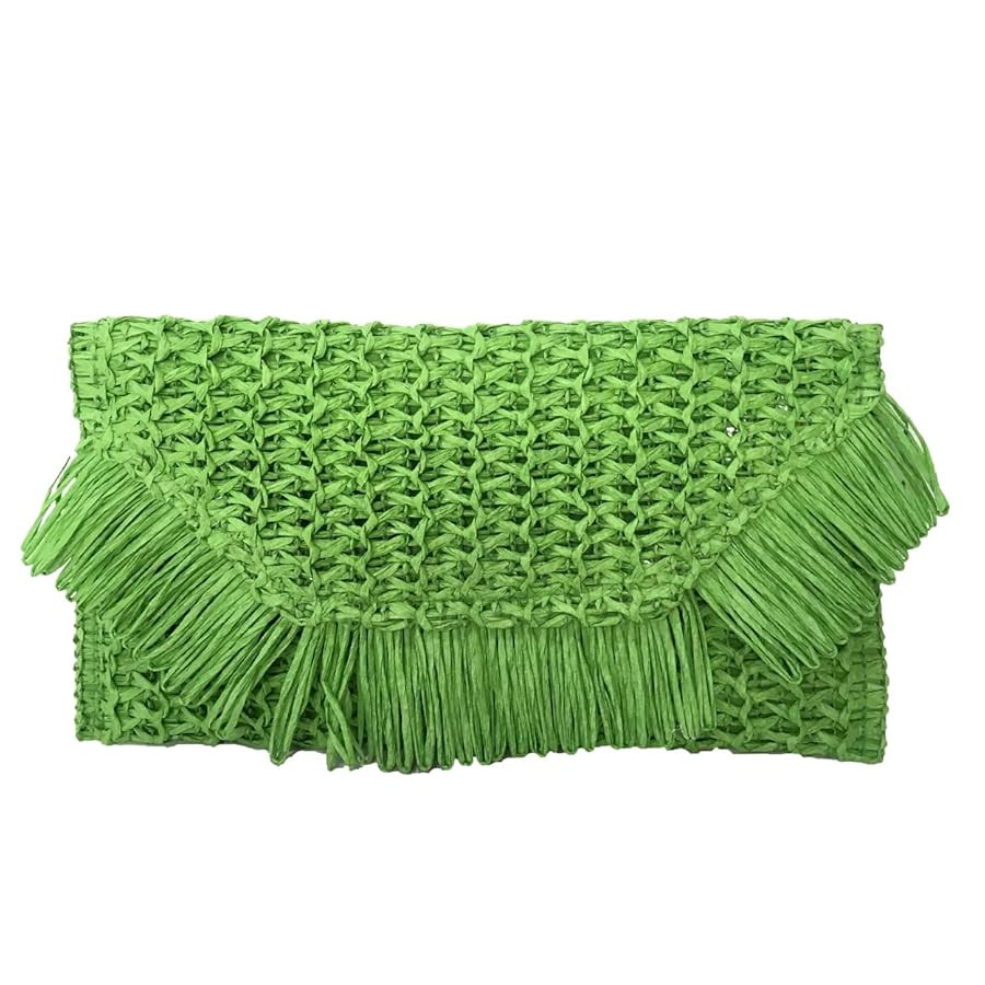 Heidi Fringe Staw Slim Clutch Bag | Amazon (US)