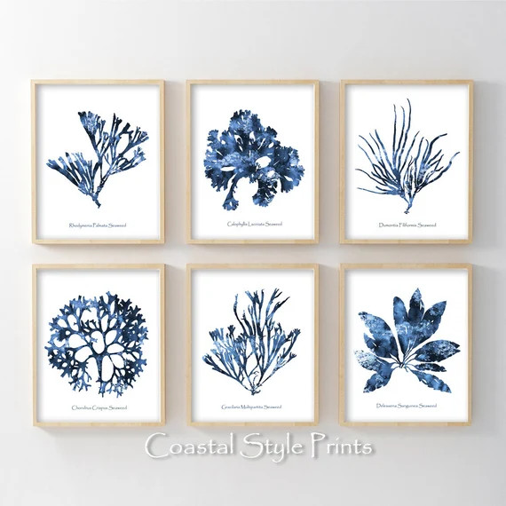 Hamptons Wall Art Set of 6 Prints Coral Print Set Coastal | Etsy | Etsy (US)