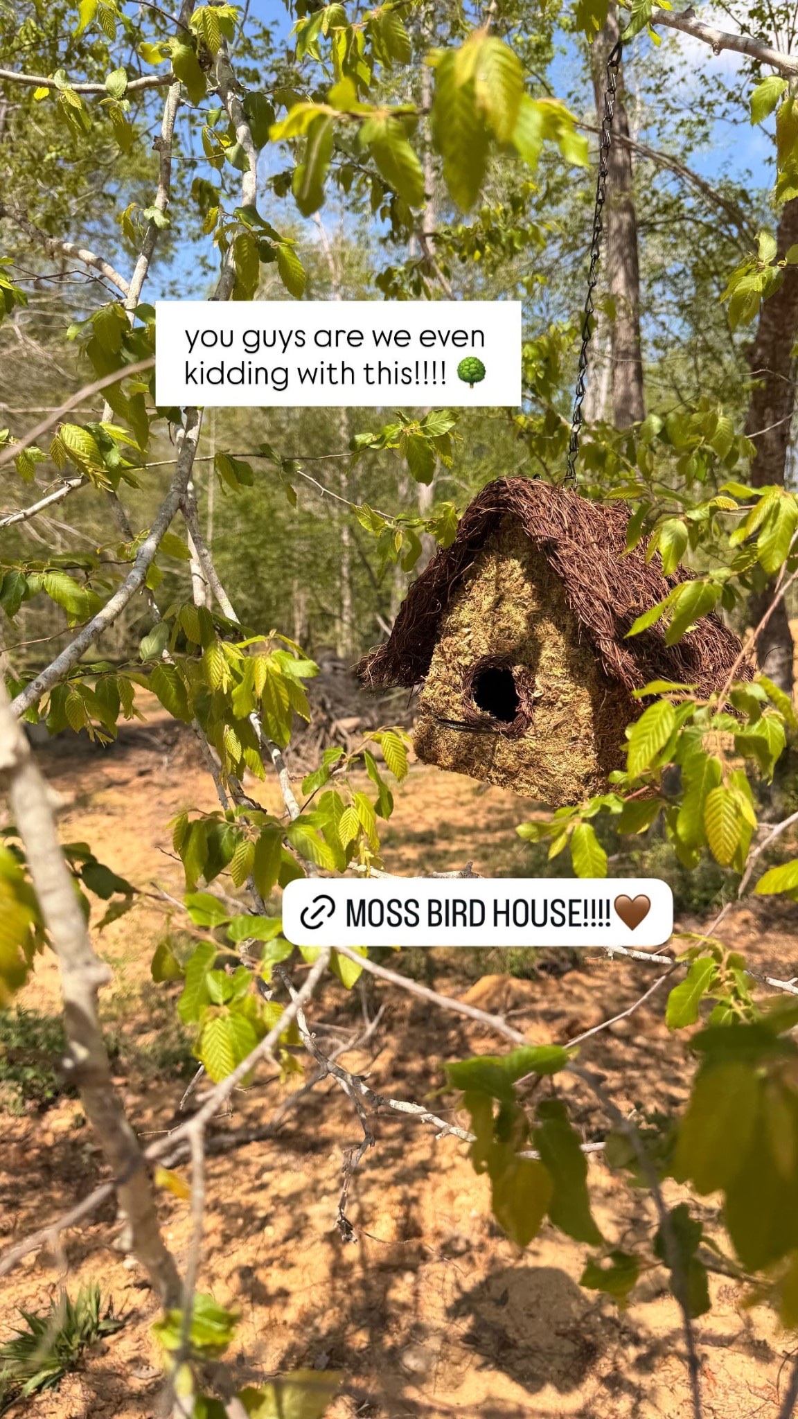 you guys are we even kidding with this!!!! 🌳