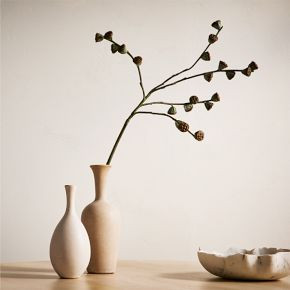 Faux Eucalyptus Pod Branch | West Elm (US)