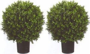 Silk Tree Warehouse Company Inc Two 2 Foot Outdoor Artificial Boxwood Ball Topiary Bushes Potted ... | Amazon (US)