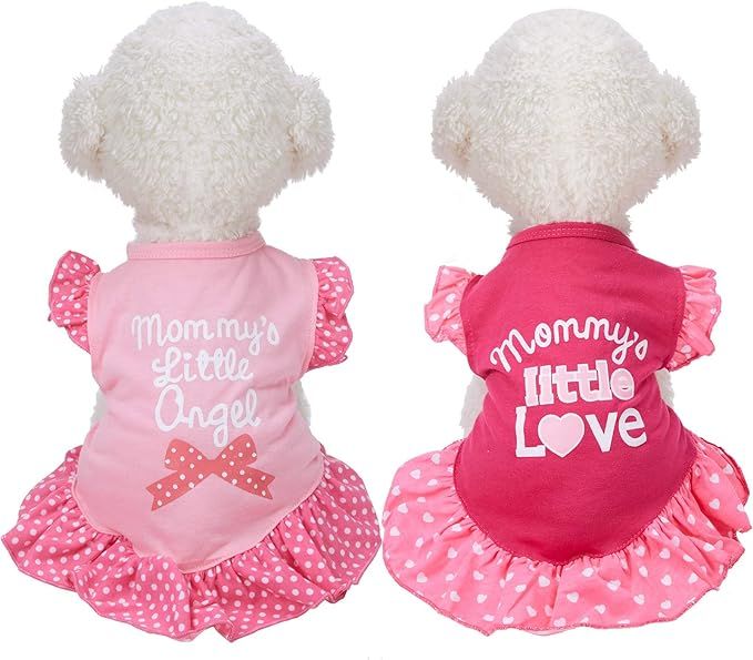 2 Pieces Dog Dresses for Small Dogs Cute Girl Female Doggie Dress Mommy Puppy Shirt Skirt, Pet Su... | Amazon (US)