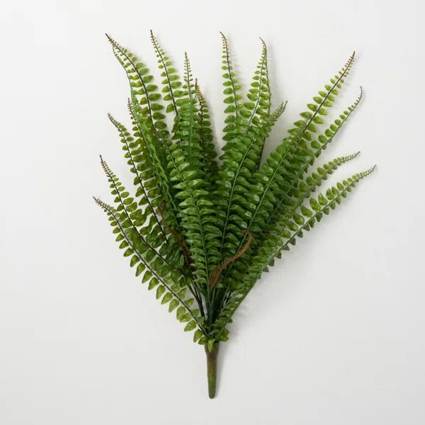 Fern Fronds Stems | Wayfair North America