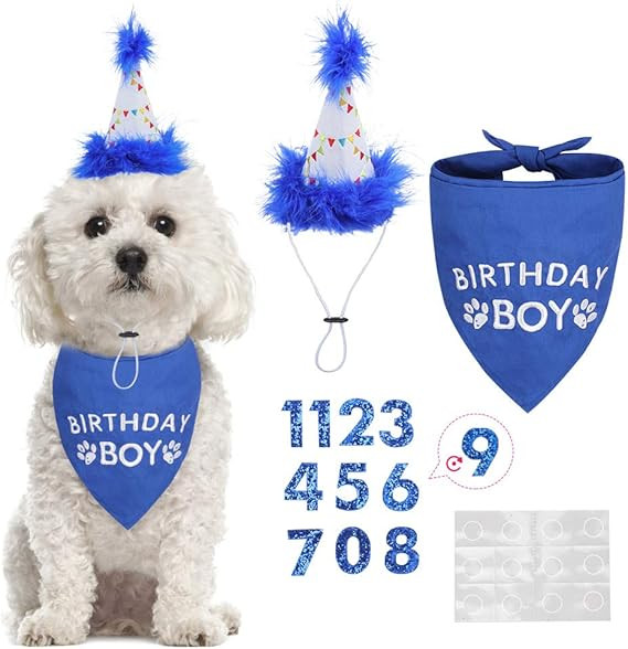 BINGPET Dog Birthday Bandana Scarf and Reusable Dog Birthday Hat with 0-8 Figures | Amazon (US)