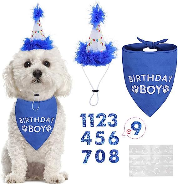 BINGPET Dog Birthday Bandana Scarf and Reusable Dog Birthday Hat with 0-8 Figures | Amazon (US)