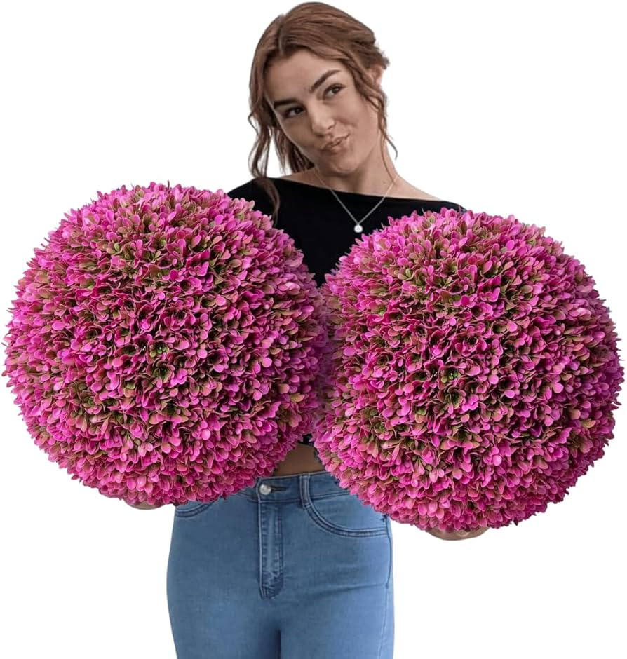 365 Curb Appeal Set of 2 Large Topiary Balls (Hot Pink) | Amazon (US)
