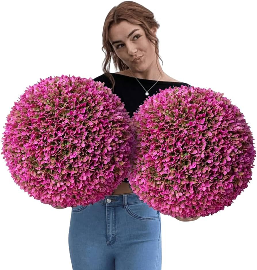 365 Curb Appeal Set of 2 Large Topiary Balls (Hot Pink) | Amazon (US)