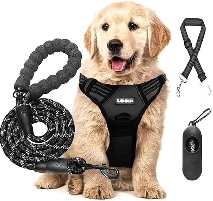 Dog Harness and Leash Set-No Pull Dog Harness for Medium Size Dogs- Color Black. Includes a Free ... | Amazon (US)