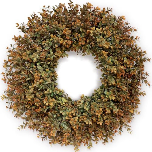 26'' Large Fall Wreath for Front Door, Porch, Window- Artificial Boxwood Leaves Outdoor Autumn Wr... | Amazon (US)