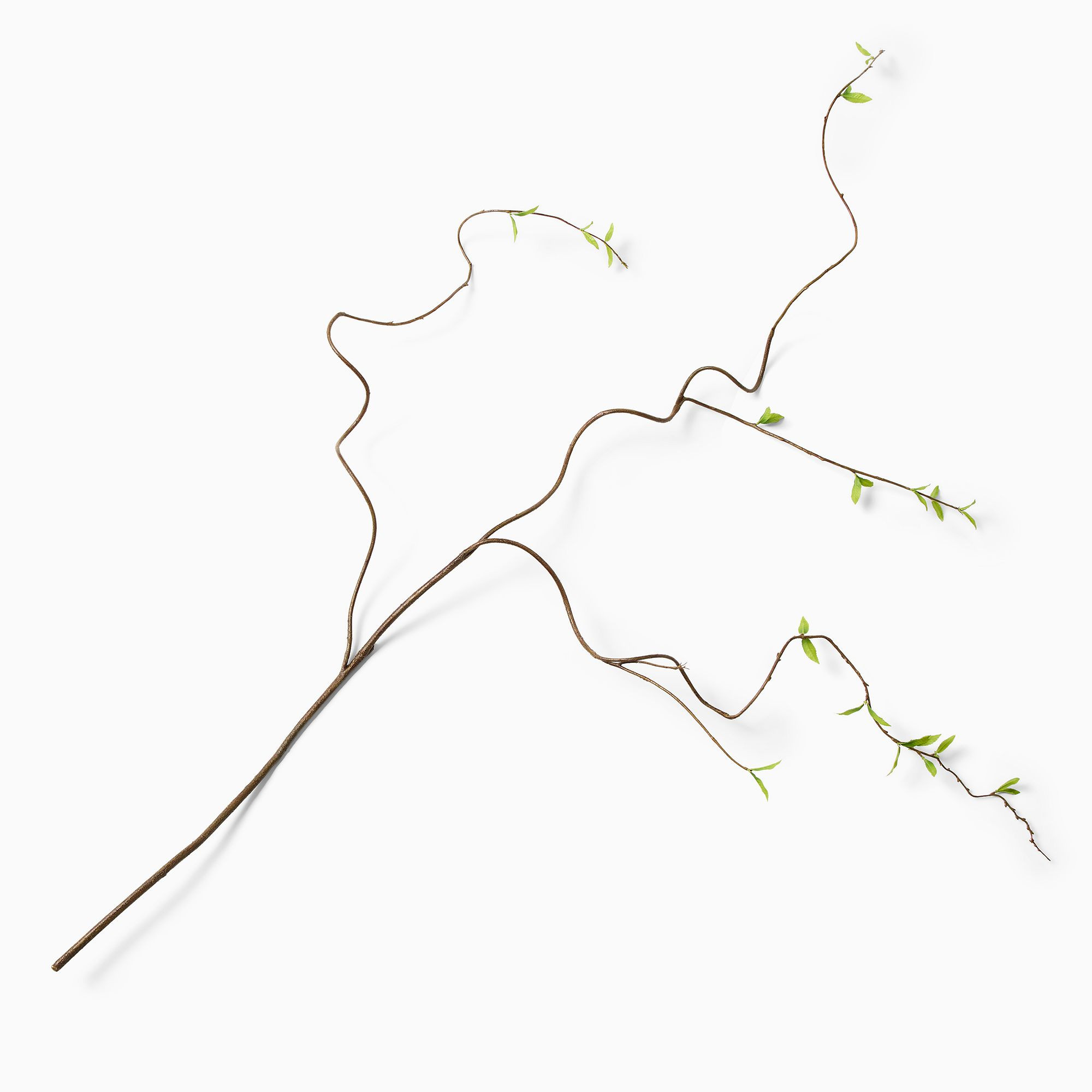 Faux Curvy Willow Branch | West Elm (US)