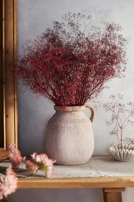Dried Gypsophila Bunch | Anthropologie (US)