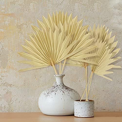 Gaybot 4 Pieces Large Dried Palm Leaves Natural Dried Palm Fans Dried Flower Bouquet Wedding Deco... | Amazon (US)