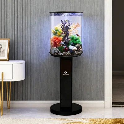 Creative Cylindrical Aquarium Tank with Titanium Alloy Base | Wayfair North America