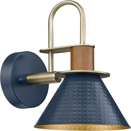 Modern Wall Sconces, HWH Industrial Sconce Wall Lighting Indoor Wall Lamp, 1-Light Barn Vanity Li... | Amazon (US)