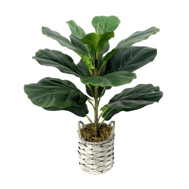 Artificial Mini Small Fiddle Leaf Fig Tree Faux Fake Tree in Woven Pot for Indoor Decor 22 Inch G... | Walmart (US)