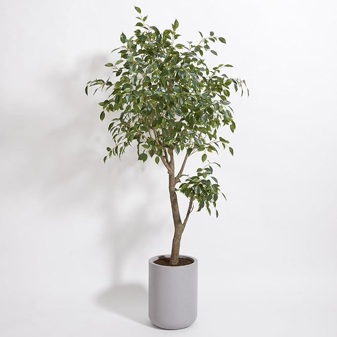 CG Hunter Faux Ficus Tree, Premium Artificial Indoor Plant Stands 6.5’ Tall, Lifelike-Leaves an... | Amazon (US)