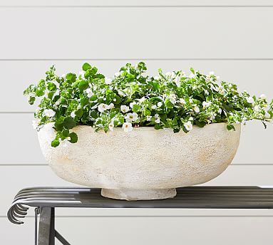 Artisan Hand Painted Terra Cotta Planter, Low Bowl- Large | Pottery Barn (US)