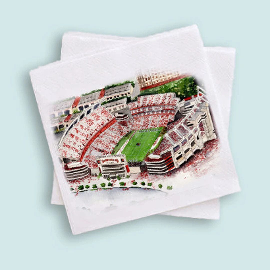 USC Gamecock South Carolina Tailgate Napkins - Etsy | Etsy (US)