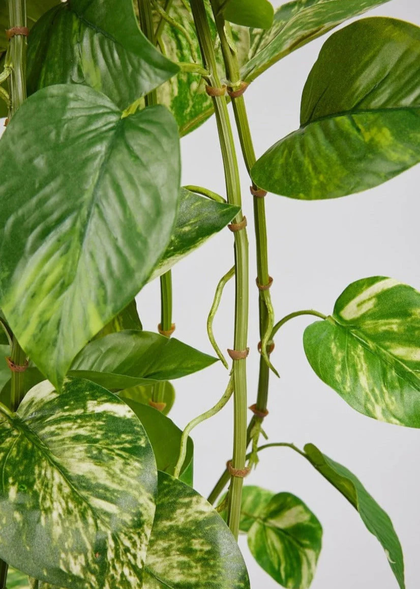 Natural Touch Pothos Artificial Plant - 48" | Afloral