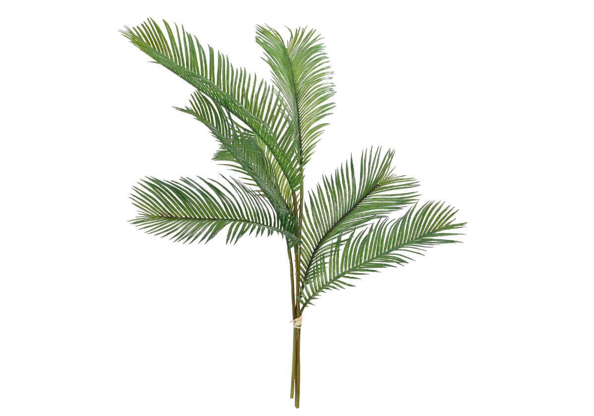 PALM FERN STEMS | Alice Lane Home Collection