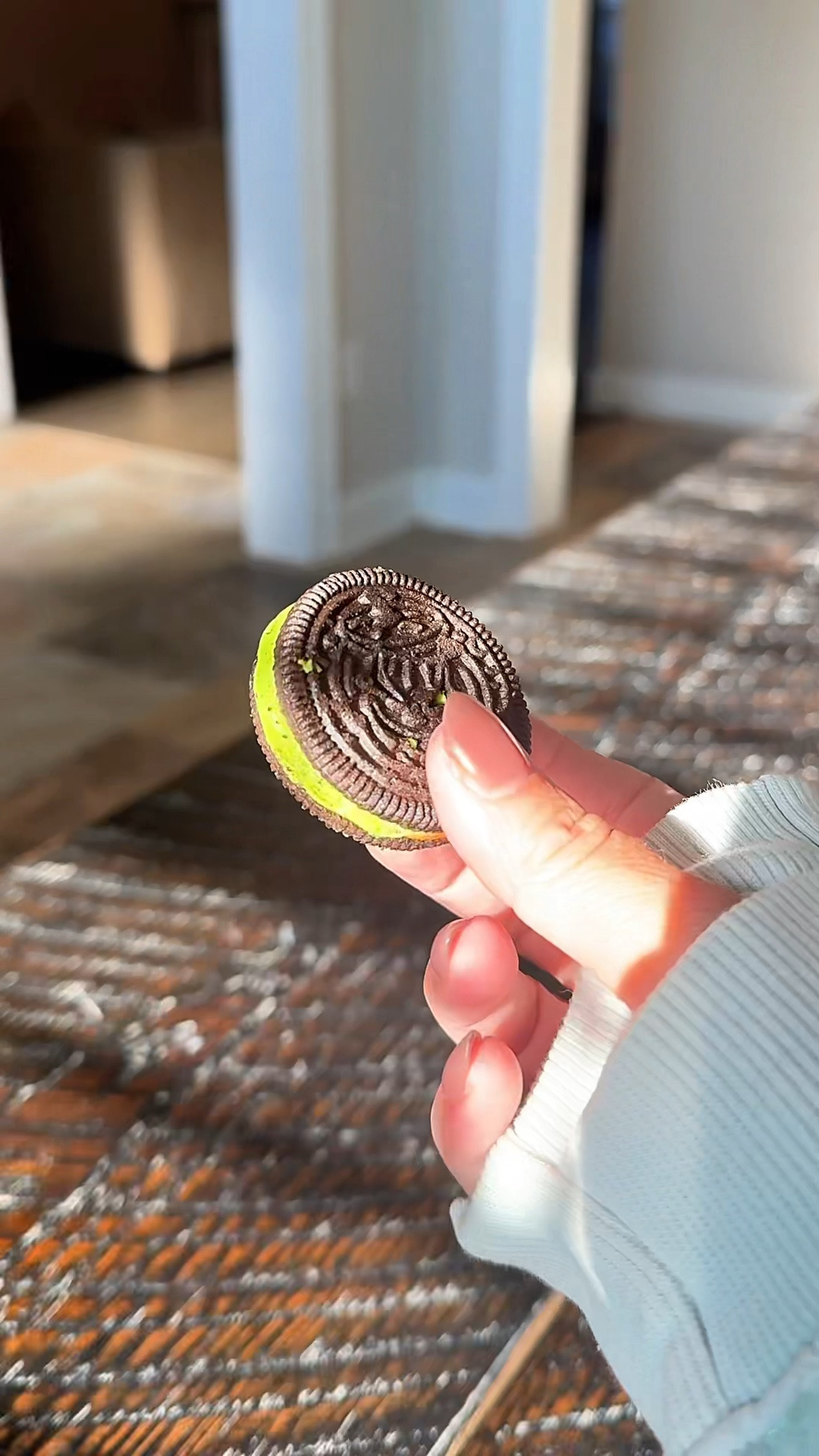 Fall Restock Must-Haves 🍁✨

Restock your home for spooky season! 👻
Adding all the cozy scents, fun treats, and festive cleaning favorites that make fall my favorite time of year. Linked my go-tos for this season — perfect for your next home restock video or kitchen refresh!

🧺 Featured:
	•	Spooky Oreos
	•	Apple-scented hand soap refill
	•	Pumpkin Scrub Daddy
	•	Spiced Apple Cider mix
	•	Candy Corn & Halloween Pretzels

#LTKhome #LTKseasonal #LTKfall #fallrestock #homeorganization #restockwithme #spookyseason #fallfavorites #aestheticcleaning


#LTKHome #LTKHalloween #LTKSeasonal