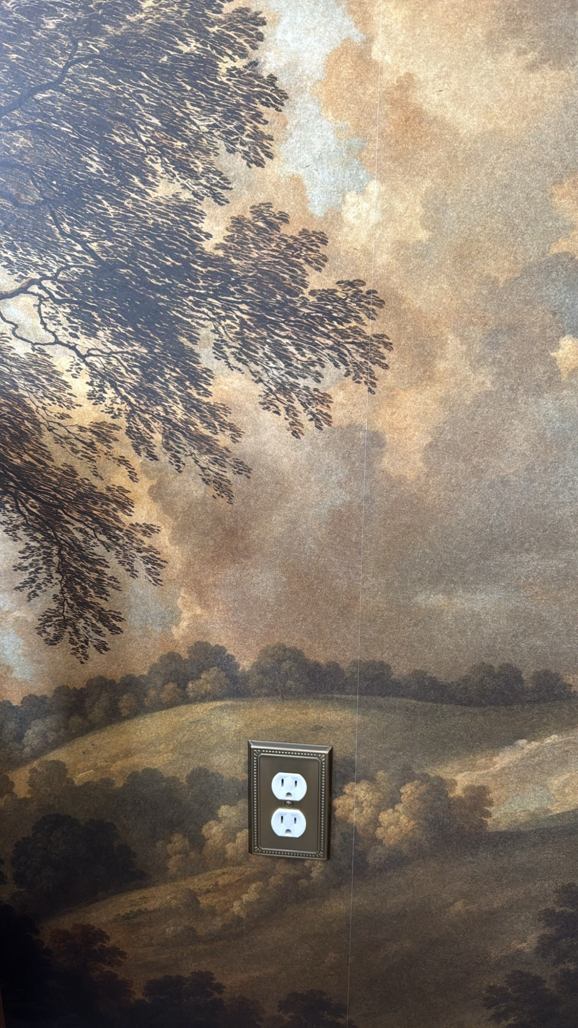 Brass outlet covers!

#LTKHome