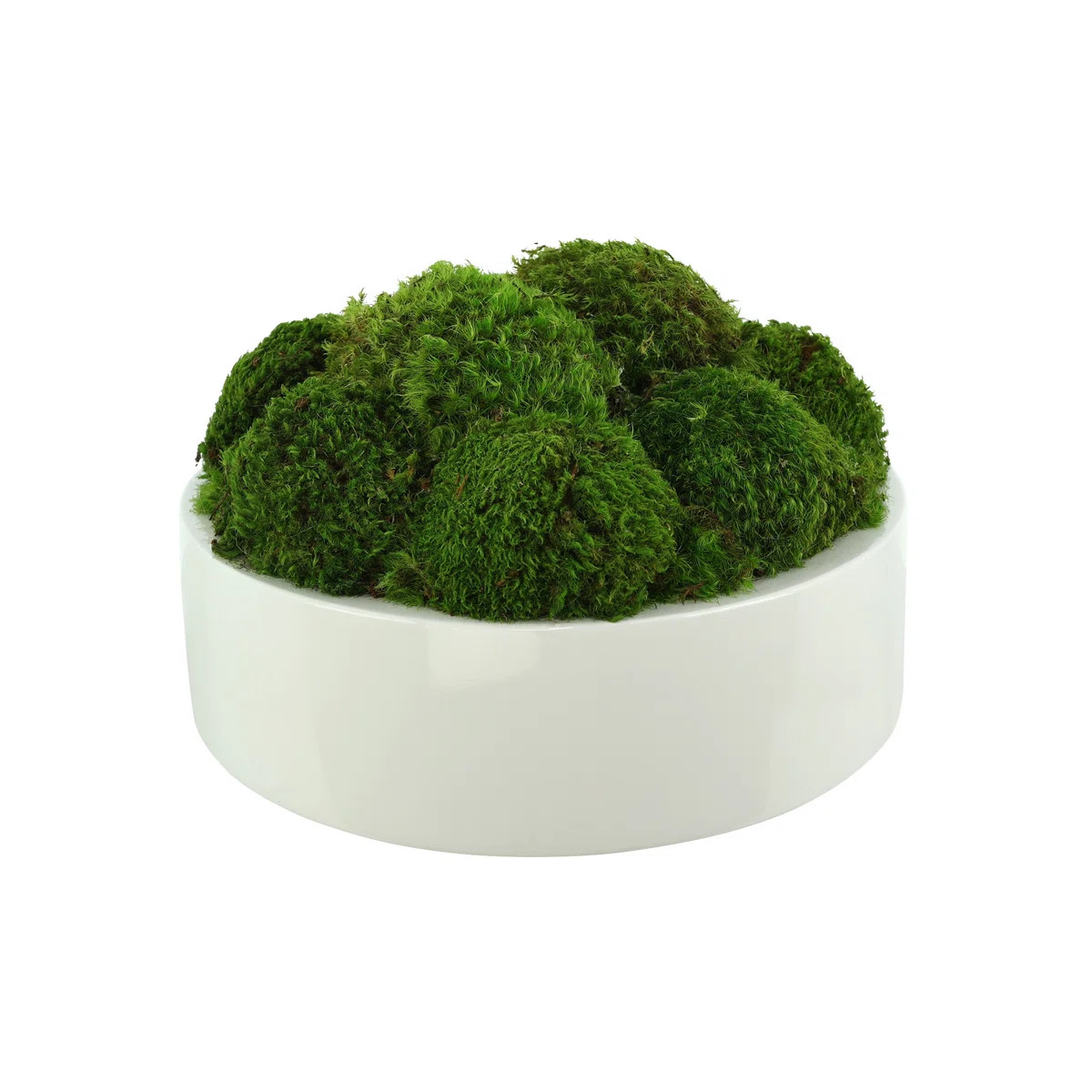 Are you looking for a way to add some natural beauty and charm to your home? Look no further than... | Wayfair North America