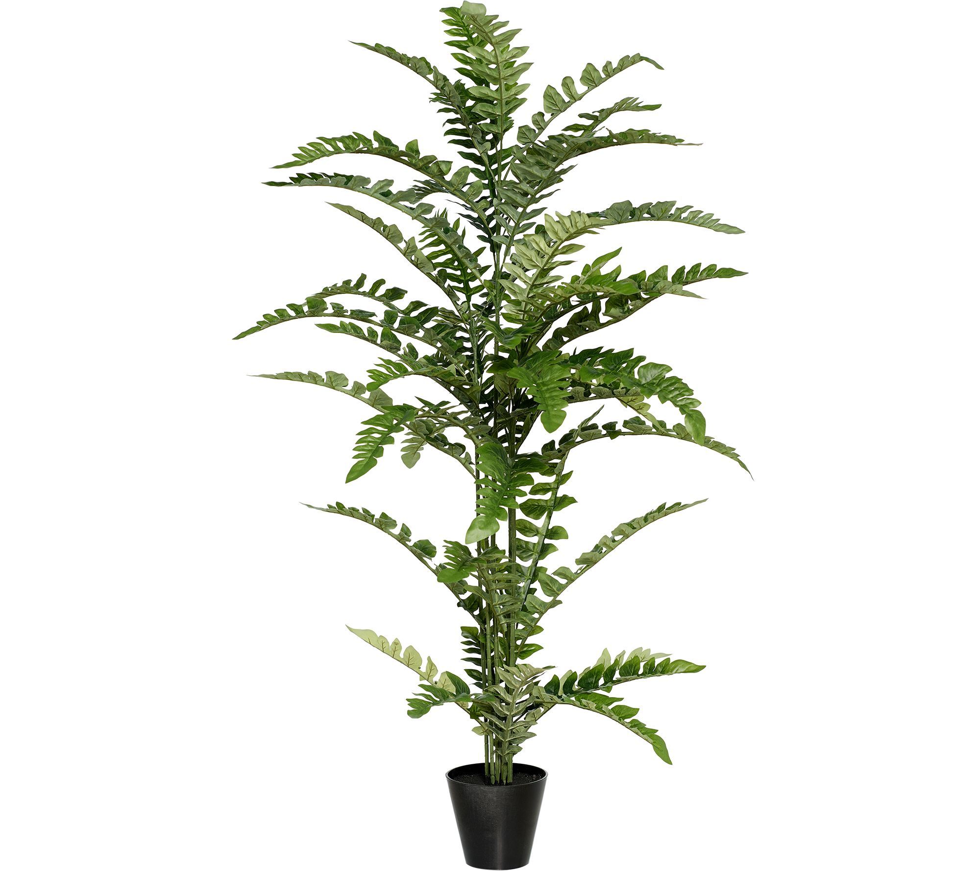 4.5' Faux Fern Tree in Potted Base by Valerie — QVC.com | QVC