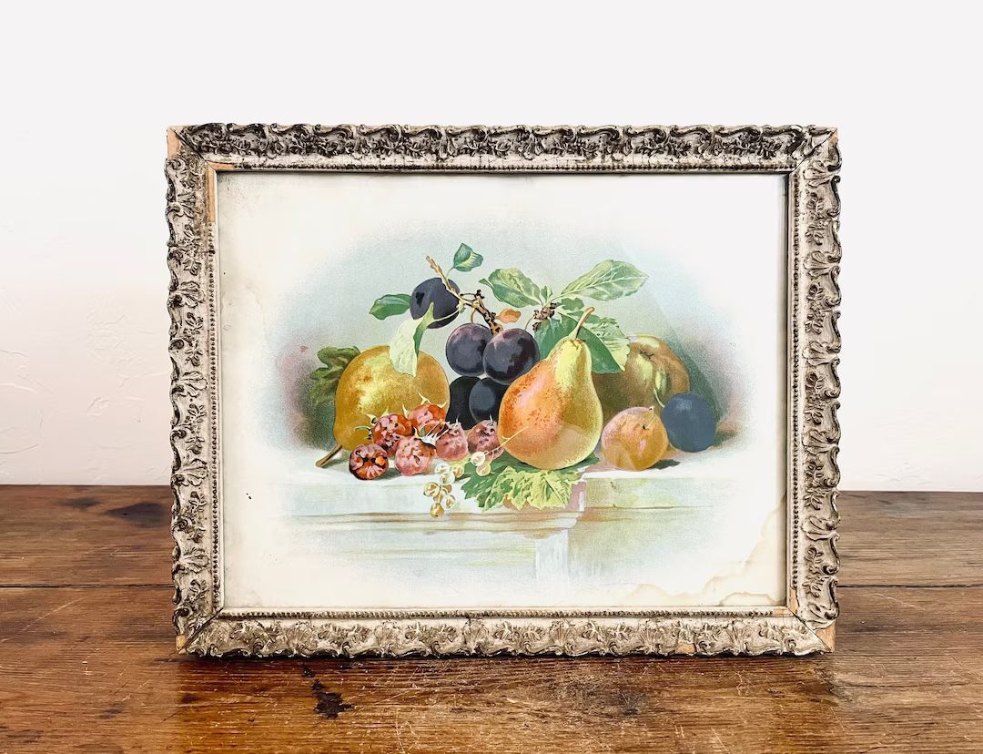 Antique Framed Fruit Print / Farmhouse Pear Raspberry Plum - Etsy | Etsy (US)