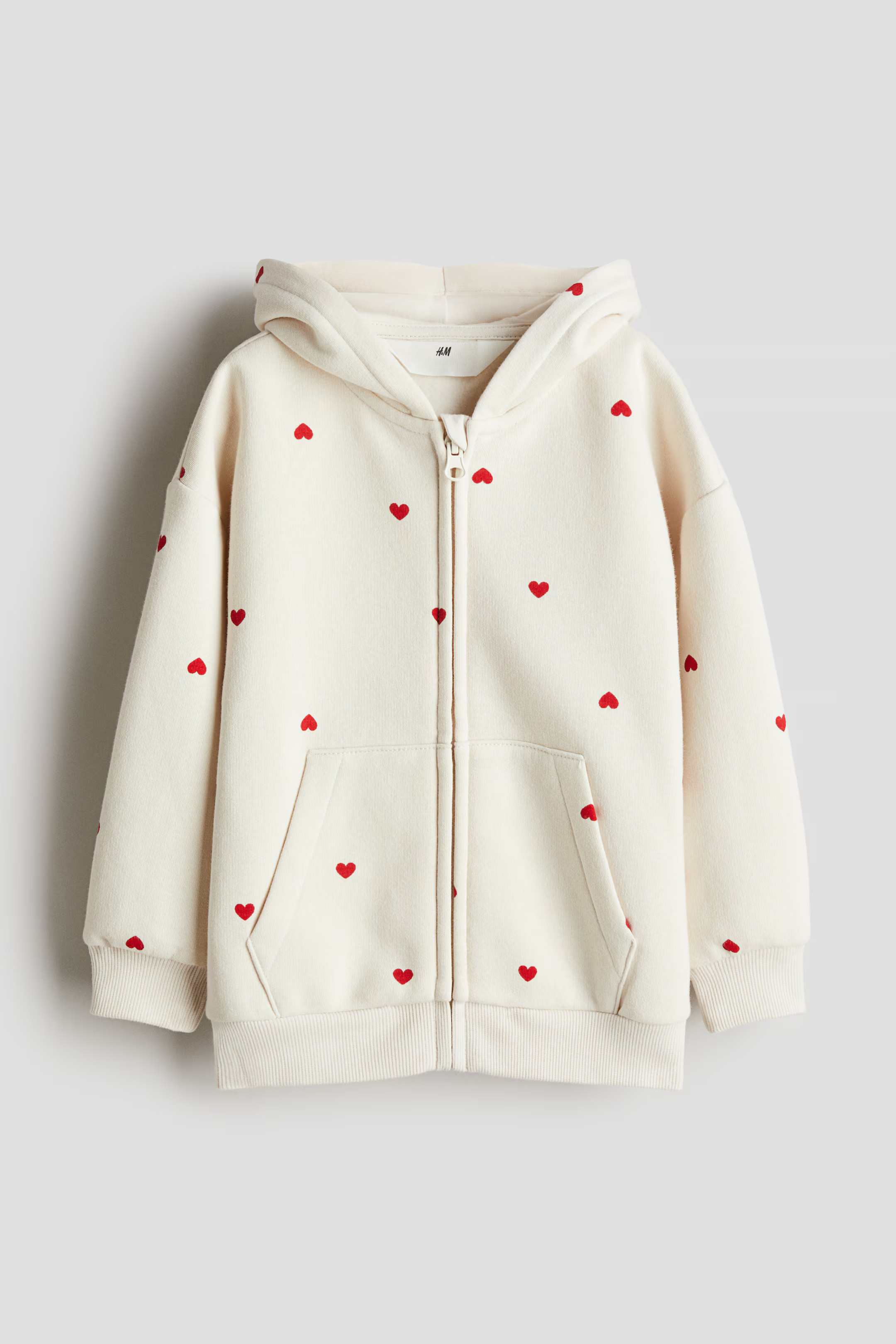 Hooded Jacket | H&M (US + CA)