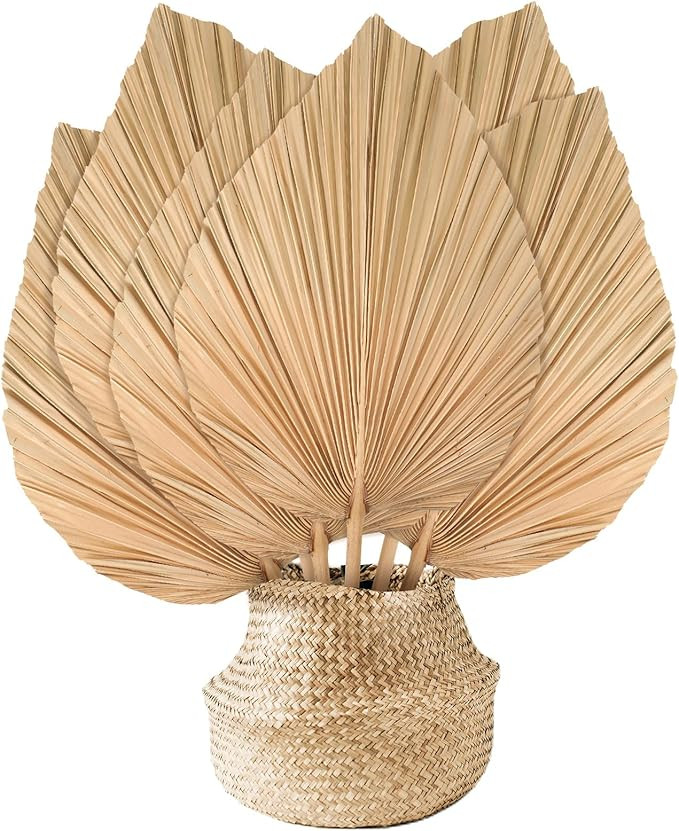 Natural Dried Palm Leaves Boho Palm Leaves Decor Heart Round Shape Palm Fans Tropical Palm Leaves... | Amazon (US)