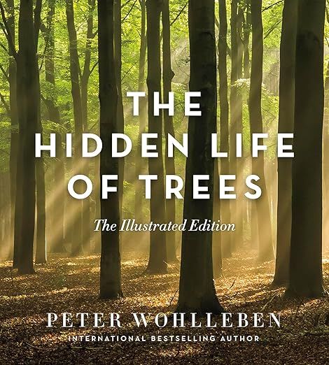 The Hidden Life of Trees: The Illustrated Edition (David Suzuki Institute) | Amazon (US)