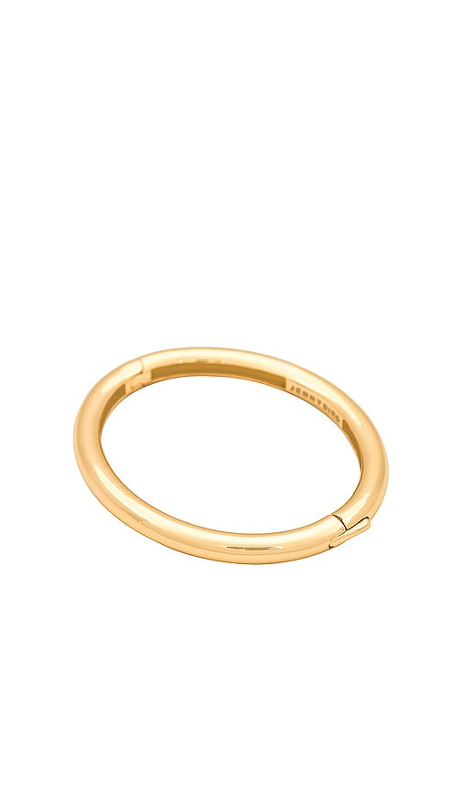 Jenny Bird Gia Bangle in Metallic Gold. | Revolve Clothing (Global)